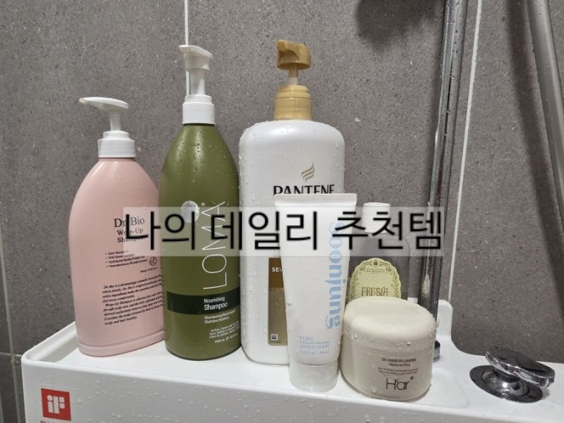 [내돈내산]기록용 화장실 필수템(feat.약산성)
