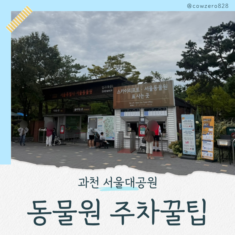 과천 서울대공원 동물원 주차 꿀팁 ㅣ 국립현대미술관 주차장 오픈런 후기