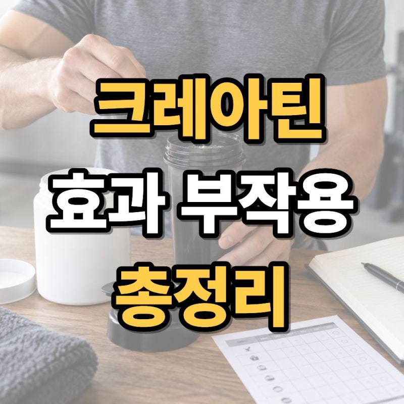 크레아틴 효과 총정리 복용법·부작용·언제부터 느끼는지까지 알아보기