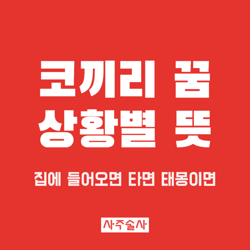 코끼리 꿈 해몽, 집에 들어오는 꿈 타는 꿈 코끼리 태몽까지
