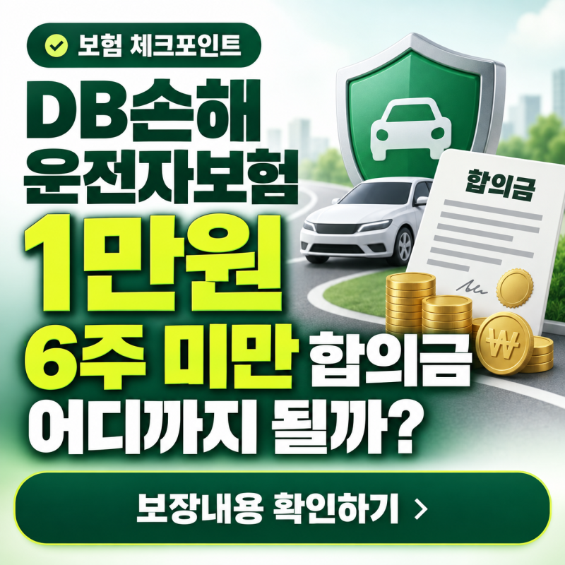DB손해 운전자보험 1만원 6주 미만 합의금 어디까지 될까?