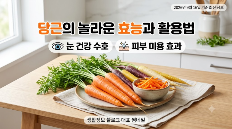 당근의 효능과 활용법: 눈 건강부터 피부까지 지키는 영양 채소
