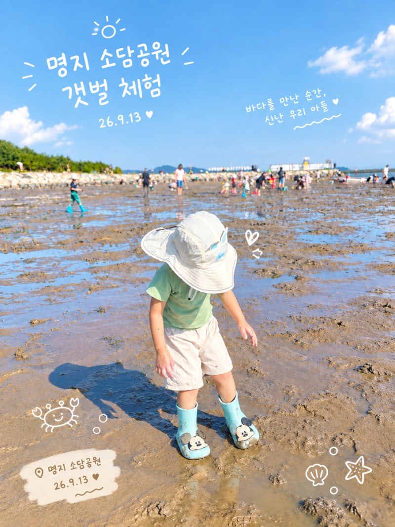 부산 갯벌체험 | 아이와 명지 소담공원 맛조개 잡기