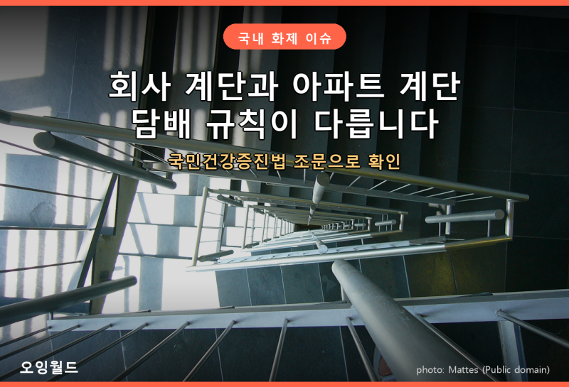 회사 계단과 아파트 계단, 담배 규칙이 서로 다릅니다 | 아파트 계단 흡연 신고·처벌, 국민건....