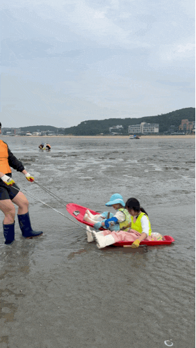 인천 갯벌체험 영종도 아이와 가볼만한곳 조개캐기 체험학습 영어조합법인마시안 갯벌체험....
