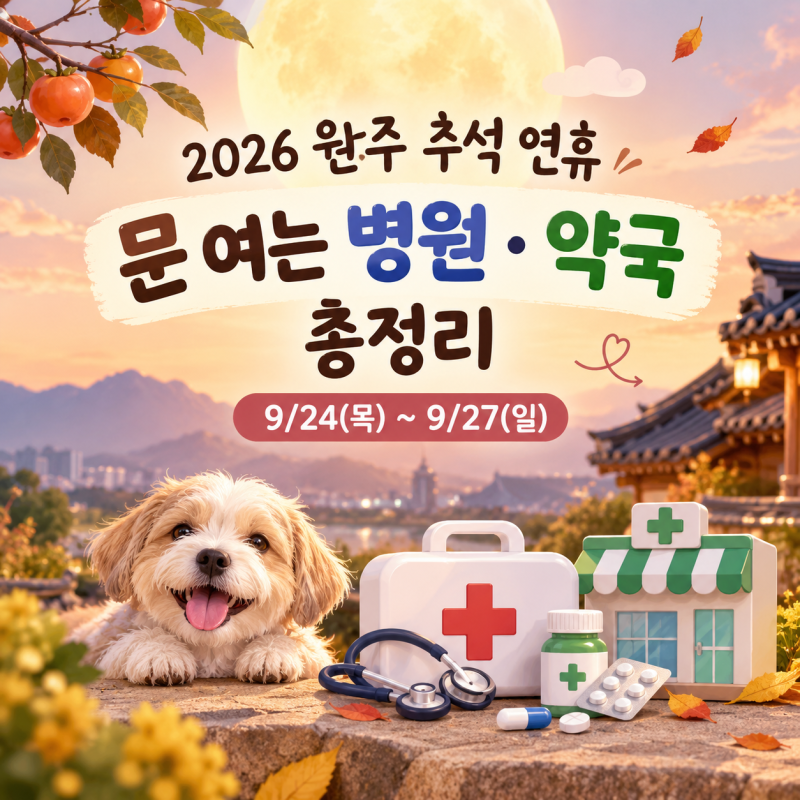 2026 원주 추석 연휴 문 여는 병원 약국 총정리