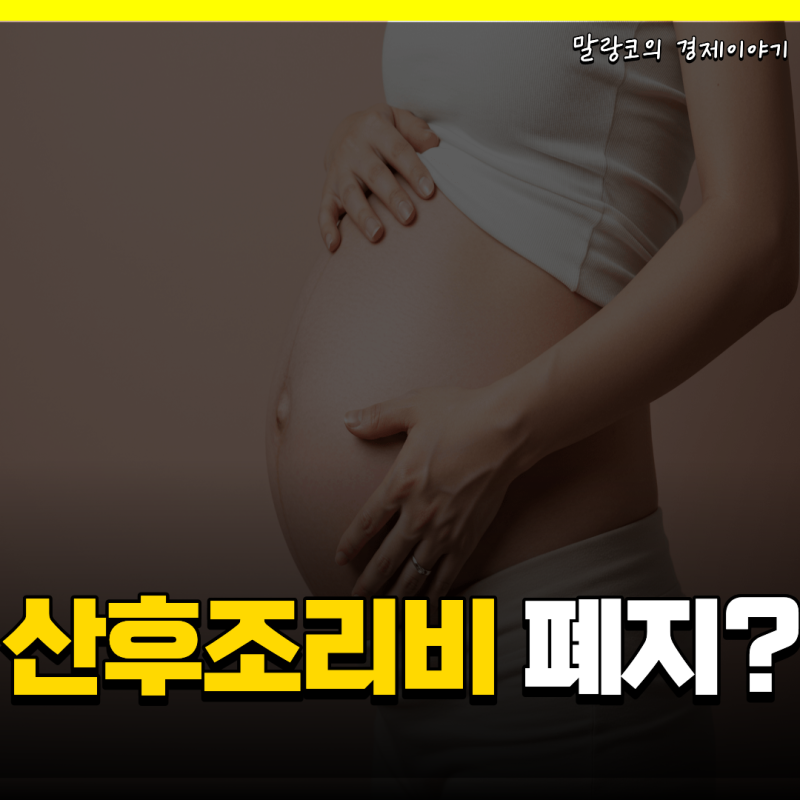 "10월생 어쩌라고" 경기도 산후조리비 폐지 산후도우미 라형도 9월 30일 종료