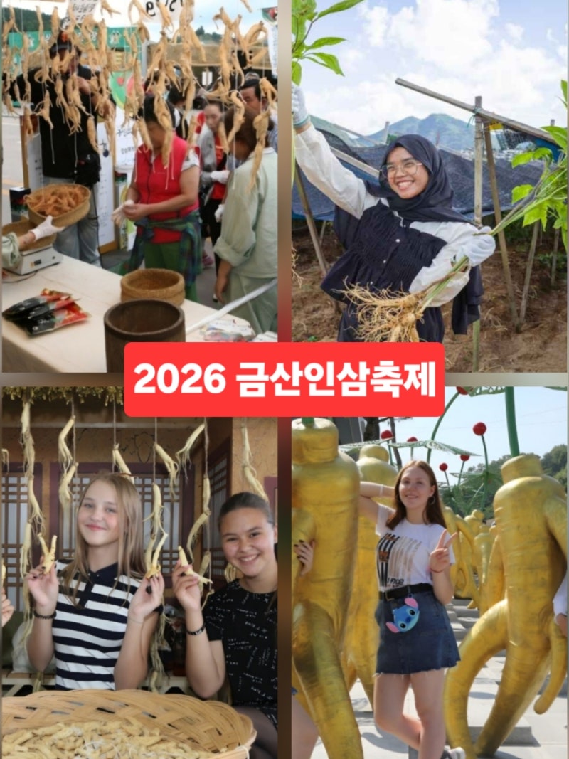 충남 금산 가볼만한곳 금산 인삼축제 가을여행