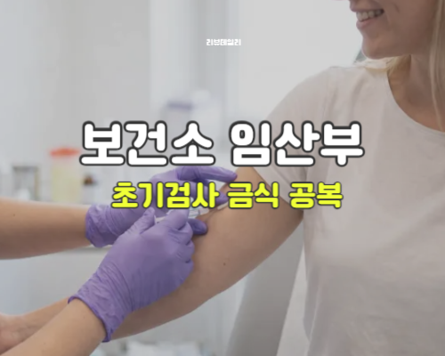보건소 임산부 초기검사 금식 공복, 결과 확인 결과지 (항목 종류 등)