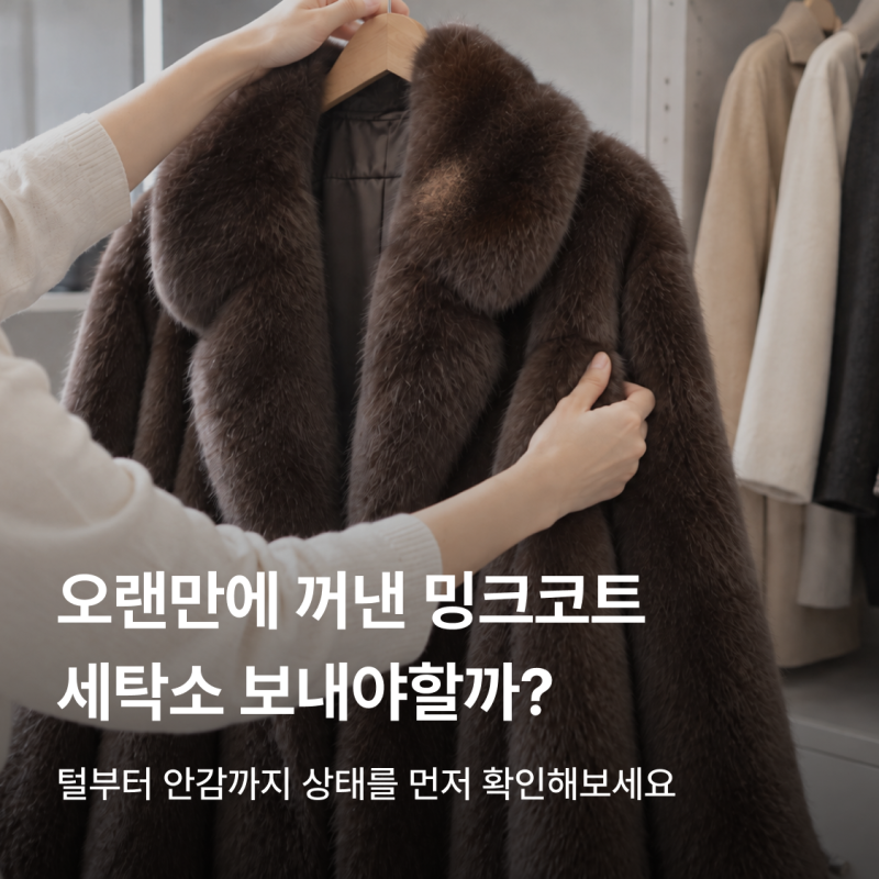 밍크코트 드라이클리닝 해도 될까? 세탁부터 보관까지