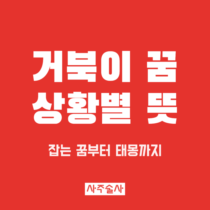 거북이 꿈해몽, 잡는 꿈 등에 타는 꿈 거북이 태몽 상황별 뜻