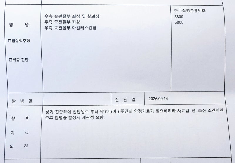 [대전 서구청 영조물 배상] 국민신문고 민원 넣고 3일만에 들은 보상안내 솔직후기