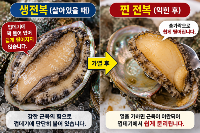 전복을 찌면 왜 껍데기에서 쉽게 떨어질까? 생전복과 다른 이유