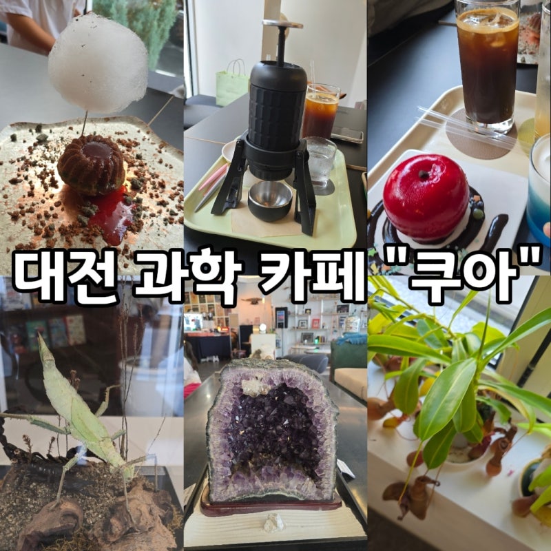 대전 과학 컨셉 카페 "쿠아", 아이들의 호기심 채울수 있는 재밌는 카페 방문 후기 (내돈내산)