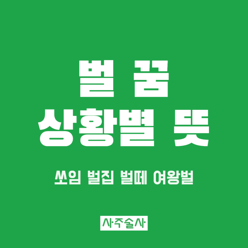 벌 꿈 해몽, 벌에 쏘이는 꿈부터 벌집 벌떼 여왕벌까지 상황별 뜻