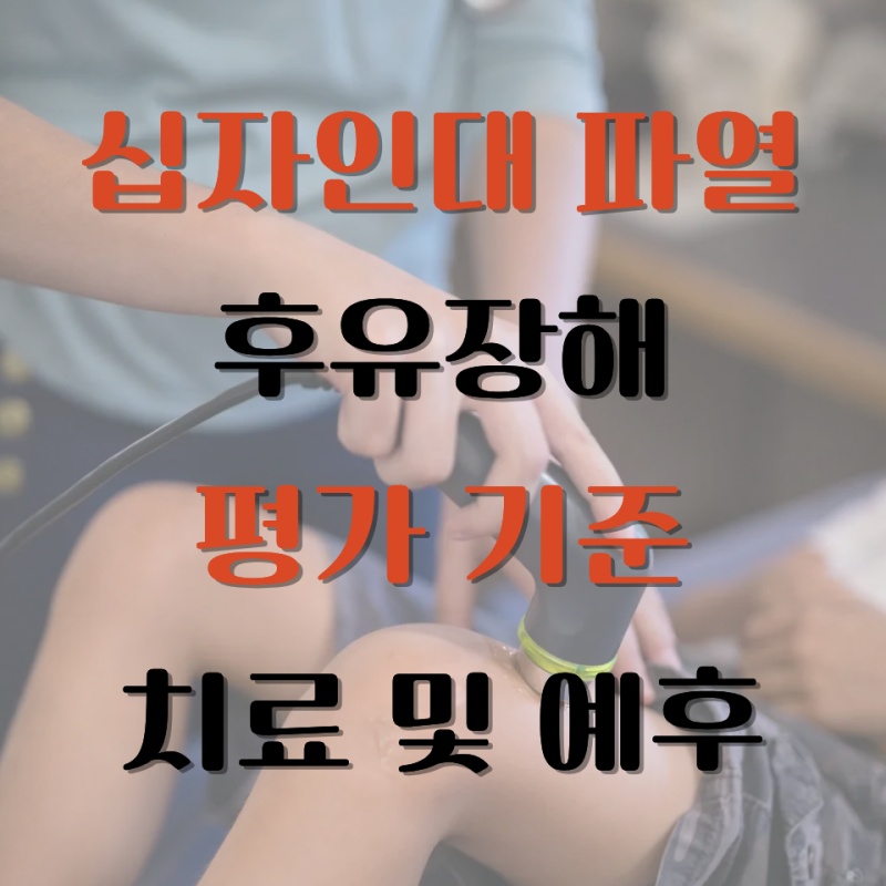 후방십자인대 파열 후유장해 평가 기준과 치료 및 예후 (동요장해)