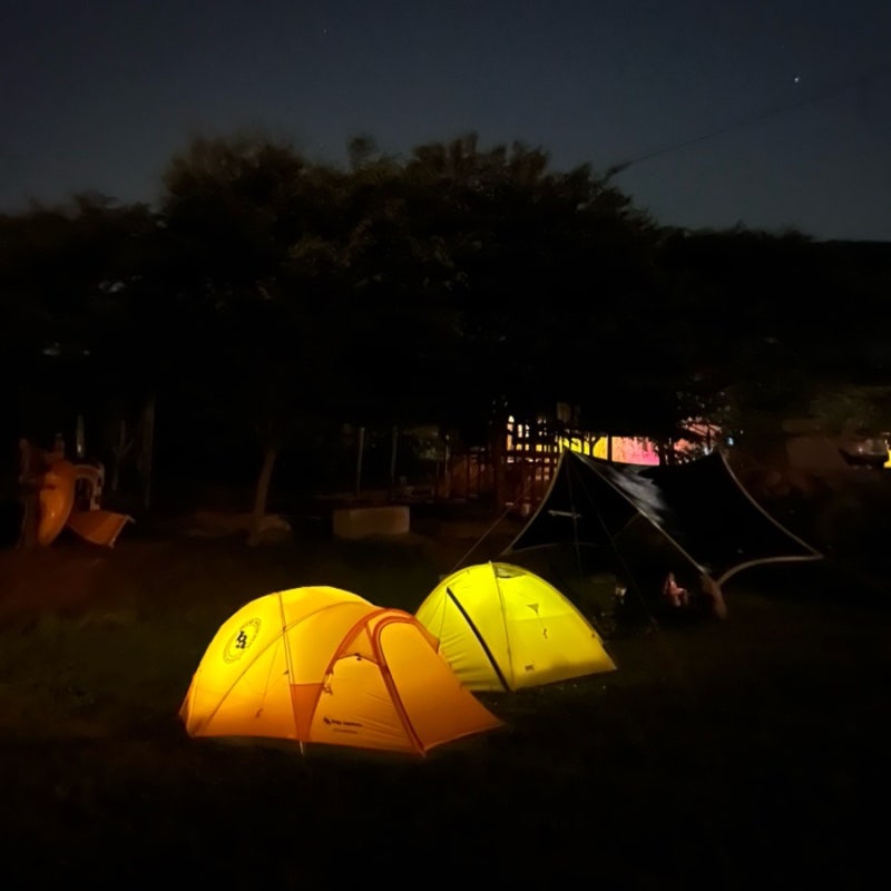숲속 감성 제대로, 서울 근교 '파주산머루농원캠핑장' 세 번 방문한 후기
