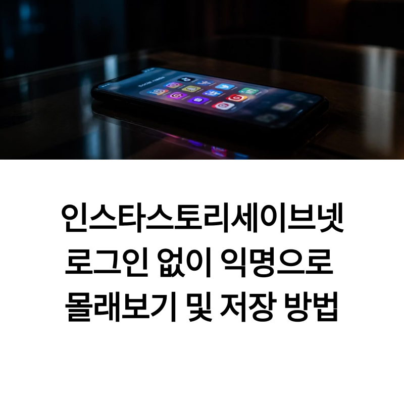 인스타스토리세이브넷 로그인 없이 익명으로 몰래보기 및 저장 방법