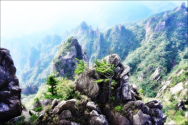 설악산 흘림골, 주전골 트레킹(코스, 예약, 주차, 단풍시기)
