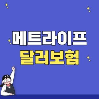 메트라이프 달러보험 가입방법 해지방법 및 중도해지 시 원금 손실 피하는 꿀팁 3가지