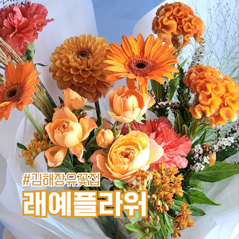 김해 화분 분갈이 꽃집 추천 래예플라워