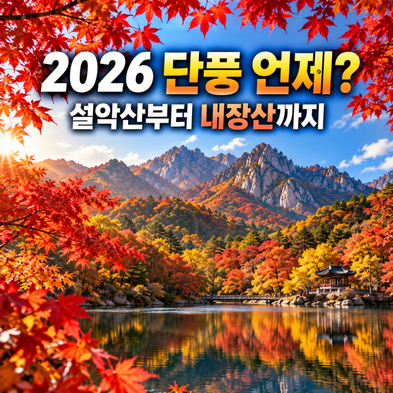 2026 단풍시기 언제? 설악산부터 내장산까지, 올해 가장 예쁜 가을은 언제일까