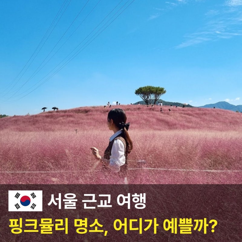 핑크뮬리 명소 5곳, 서울 근교 가을 10월 국내 여행지 추천