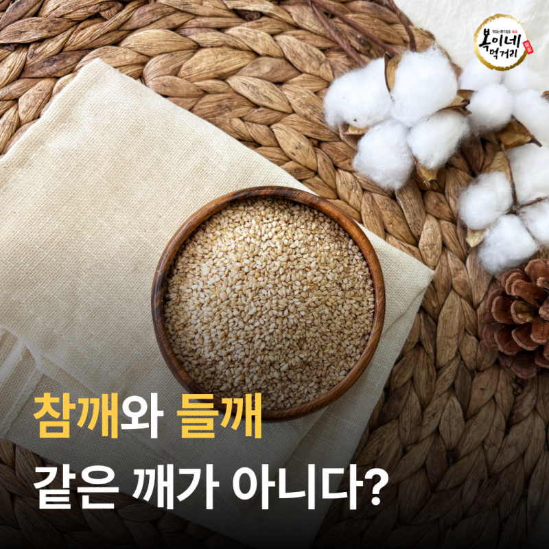 참깨와 들깨 차이, 맛·향·활용법은 어떻게 다를까?
