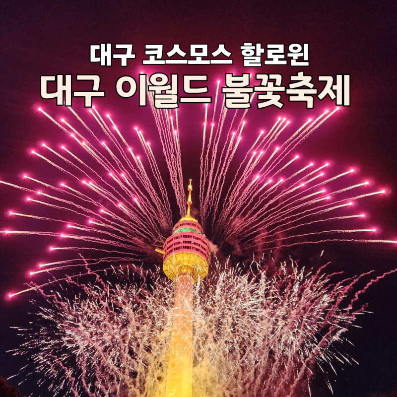 이월드불꽃축제 대구코스모스 이월드할로윈 총정리