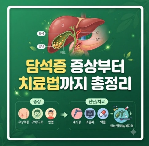 90세 어르신 몸속 6cm 돌, 담석증 증상과 치료법 총정리