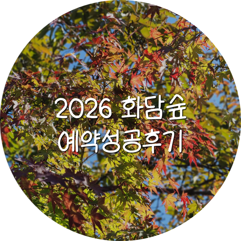 2026 가을 화담숲 예약 성공후기+모노레일 추가예약/인근 숙소 추천