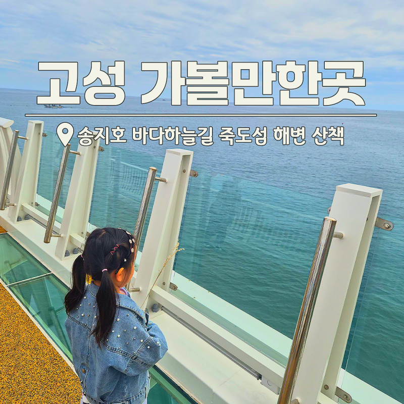 강원도 고성 가볼만한곳 송지호 바다하늘길 "죽도섬 해변"