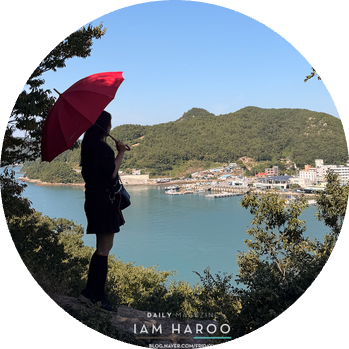 고흥 가볼만한곳 1박 2일 여행코스 쑥섬과 먹거리 체험 총정리