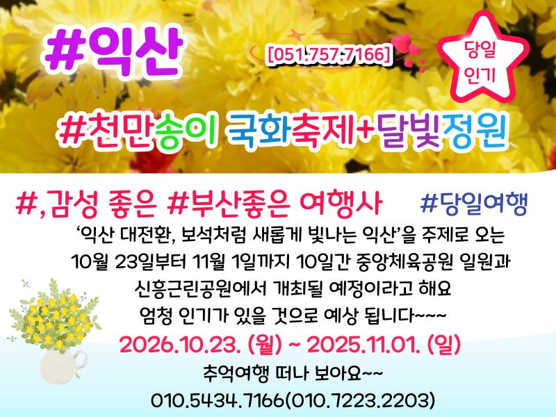 [익산천만송이 국화축제+달빛정원]당일