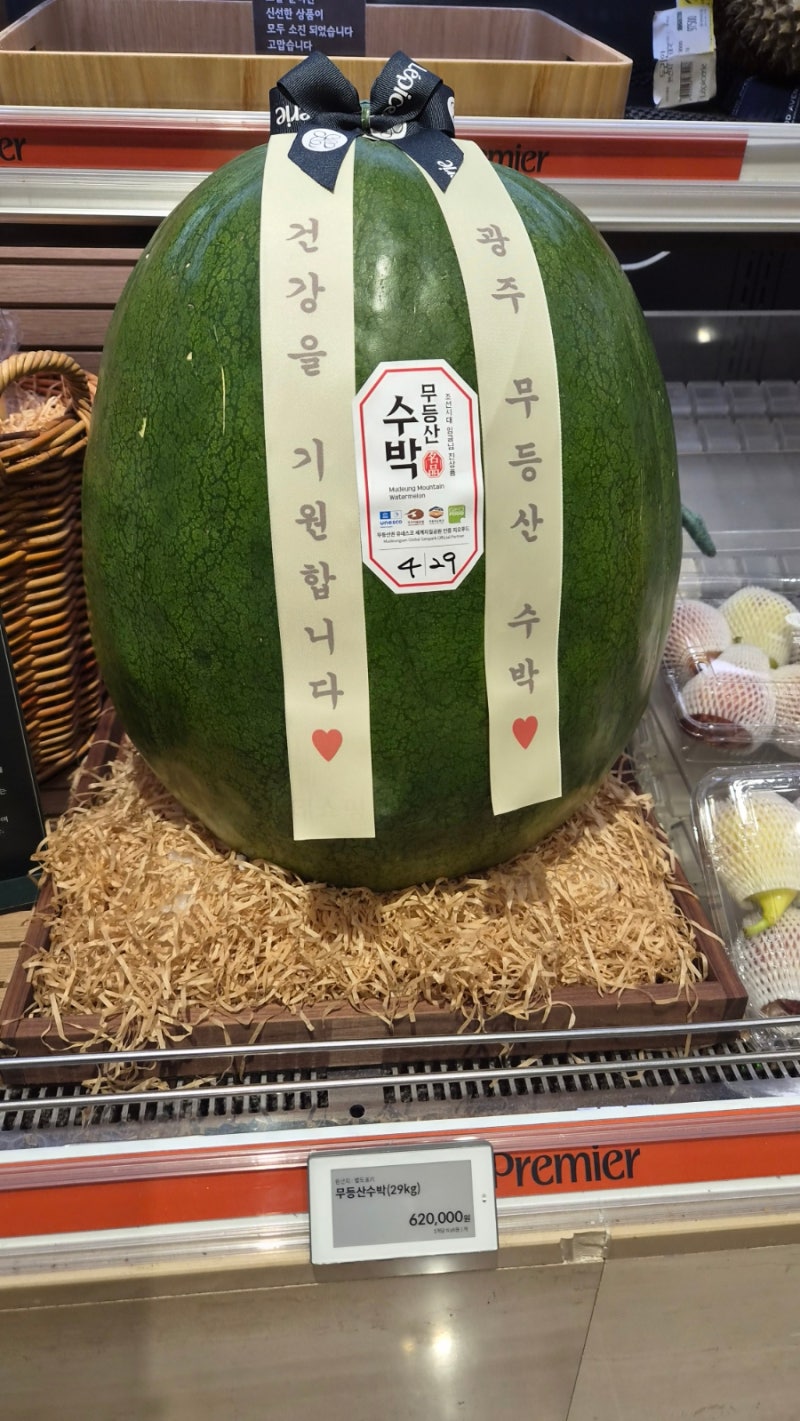 롯데백화점 본점 식품관 추석선물 무등산 수박 골든볼사과 가격 과일