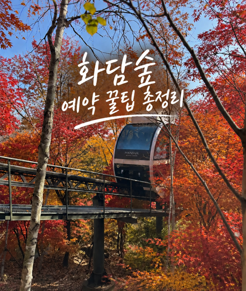 2026 화담숲 예약 꿀팁 모노레일 1·2·3승강장 추천 코스와 달라진 예매 방법