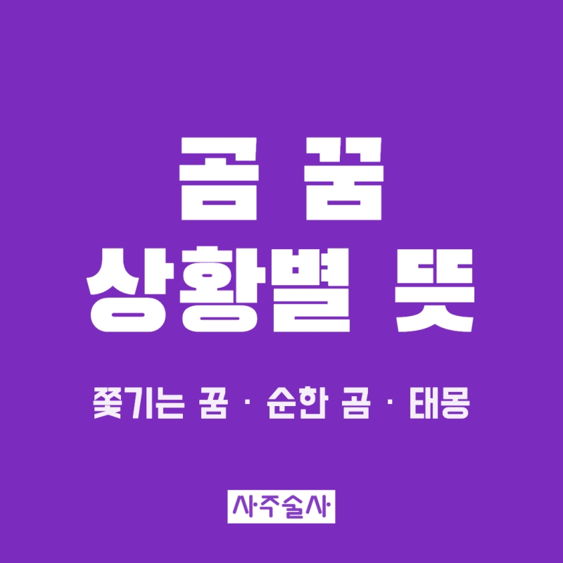 곰 꿈 해몽, 쫓기는 꿈과 순하게 다가오는 곰 태몽까지 상황별 뜻
