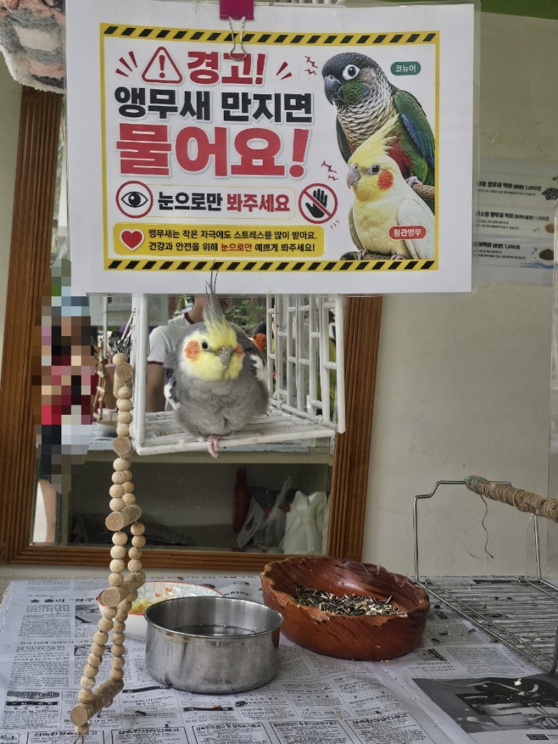 경주 보문호 놀거리 추천｜가족나들이로 다녀온 경주 버드파크 완전 강추!