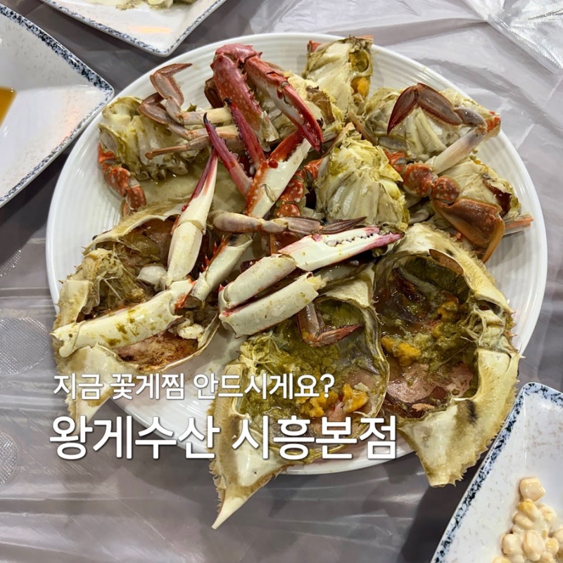 서울 꽃게찜 맛집 왕게수산 킹크랩 시흥본점, 9월 제철 꽃게 2kg 내돈내산