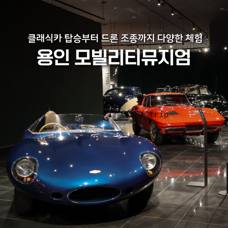 용인 아이와 가볼만한곳 자동차박물관 삼성화재 모빌리티뮤지엄 예약 입장료
