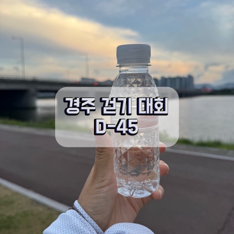 매일 태화강 걷기｜경주 걷기 대회 D-45