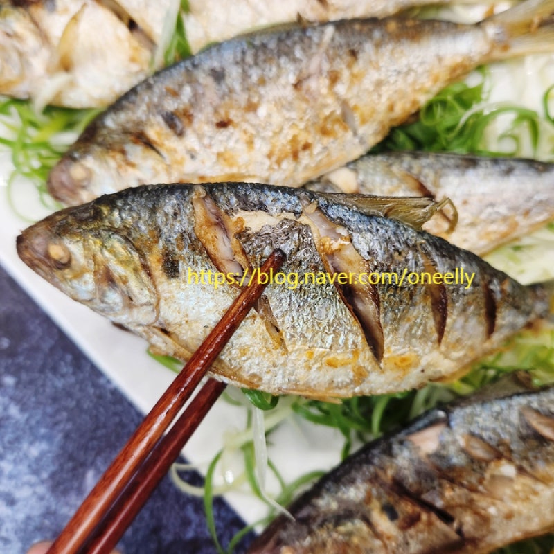 홍원항 가을 전어회 서천 맛집 섬덕회센타