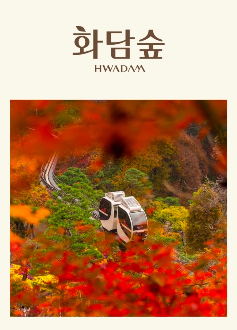 경기도 광주 '화담숲' 단풍 입장권+모노레일 예약 성공 후기 & 취소표 잡기