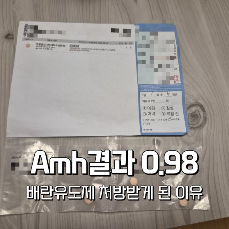 AMH 0.98 난소기능검사 결과와 클로미펜 배란유도제 처방 후기