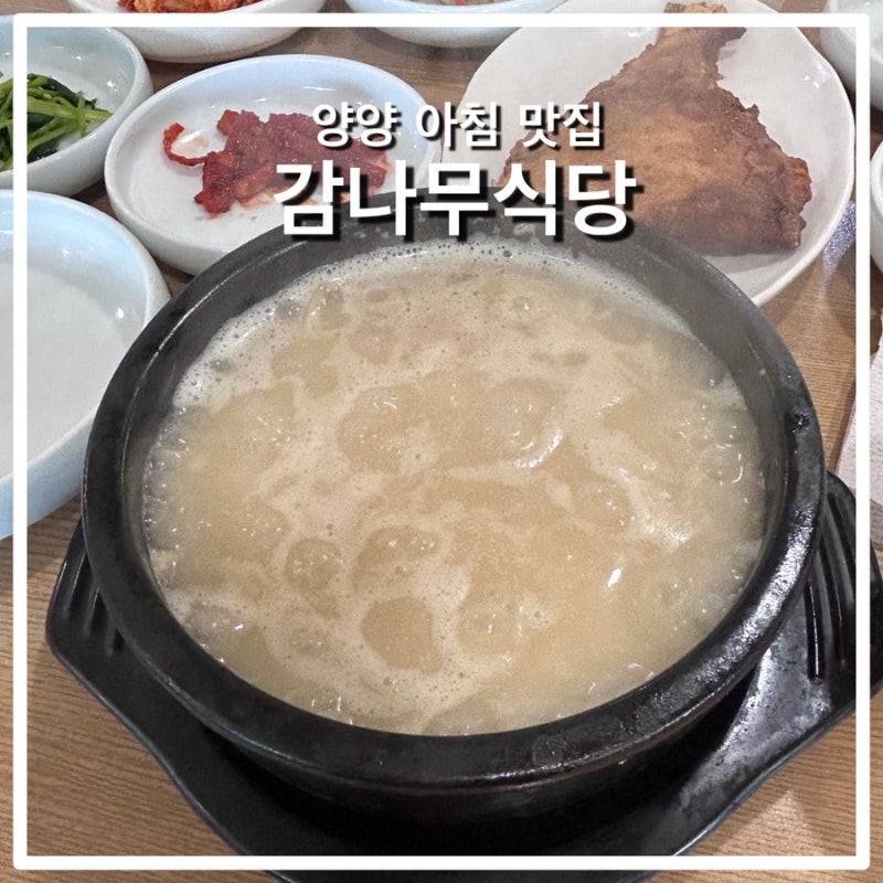 양양 아침식사 맛집 추천! 감나무식당 웨이팅 및 솔직후기