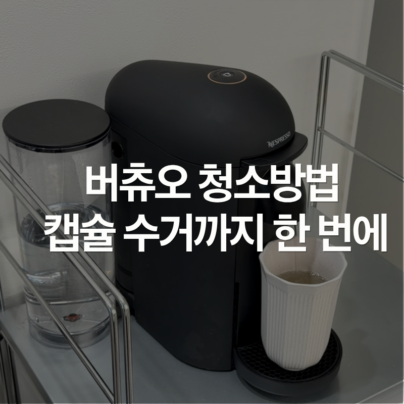 네스프레소 버츄오 청소 방법 캡슐 수거 신청까지 총정리