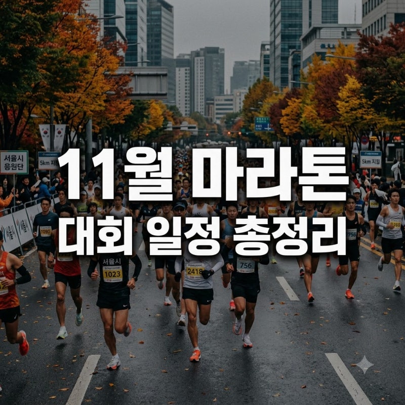 "참가비만 15만원?" 11월 마라톤 일정, JTBC부터 인천까지 알고 보니..