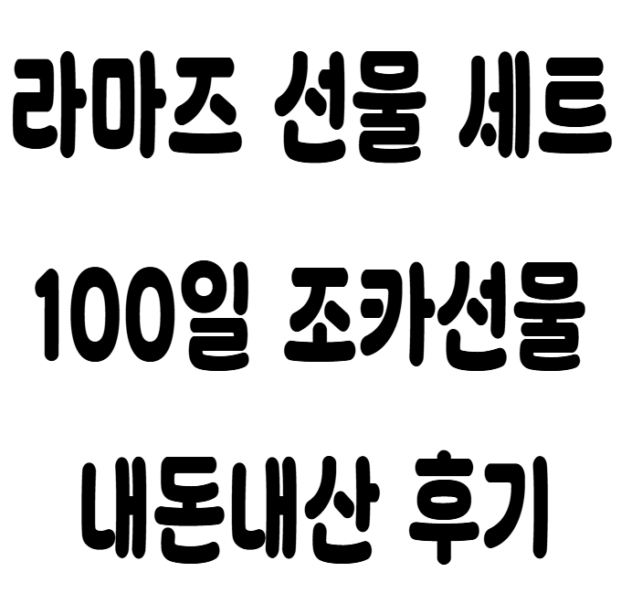 아기 국민템 장난감 라추천 라마즈 핑크 애벌레 헝겊책 나비 선물세트 사용시기 세탁 내돈내....