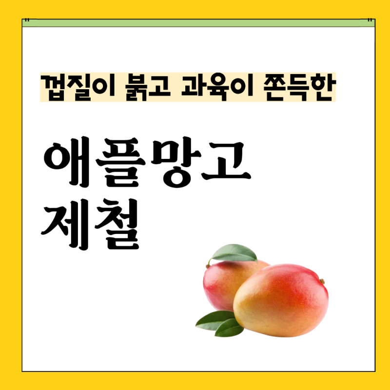 애플망고 냉장고에 바로 넣으면 안 되는 이유, 애플망고 후숙 효능 제철