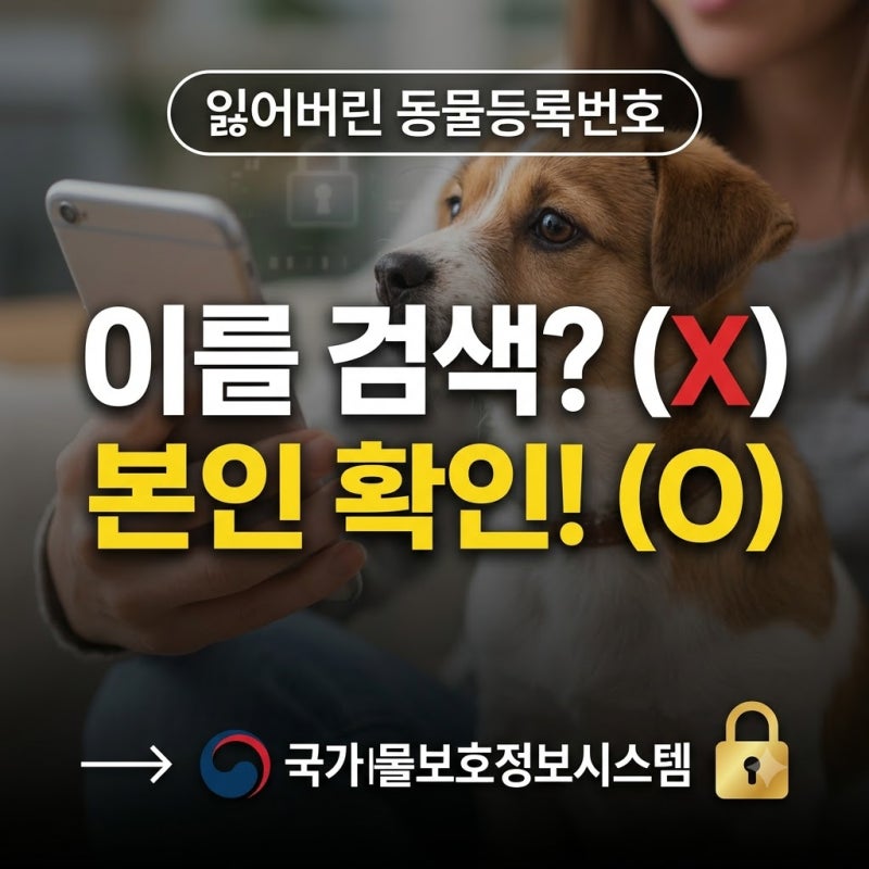 동물등록번호 조회 방법, 국가동물보호정보시스템에서 확인하는 순서
